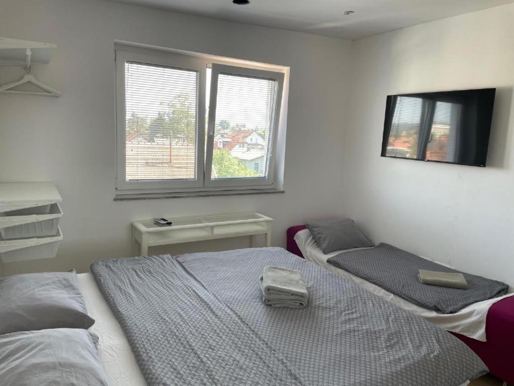 R41 - Tivoli Groundfloor Apartment Λιουμπλιάνα Εξωτερικό φωτογραφία