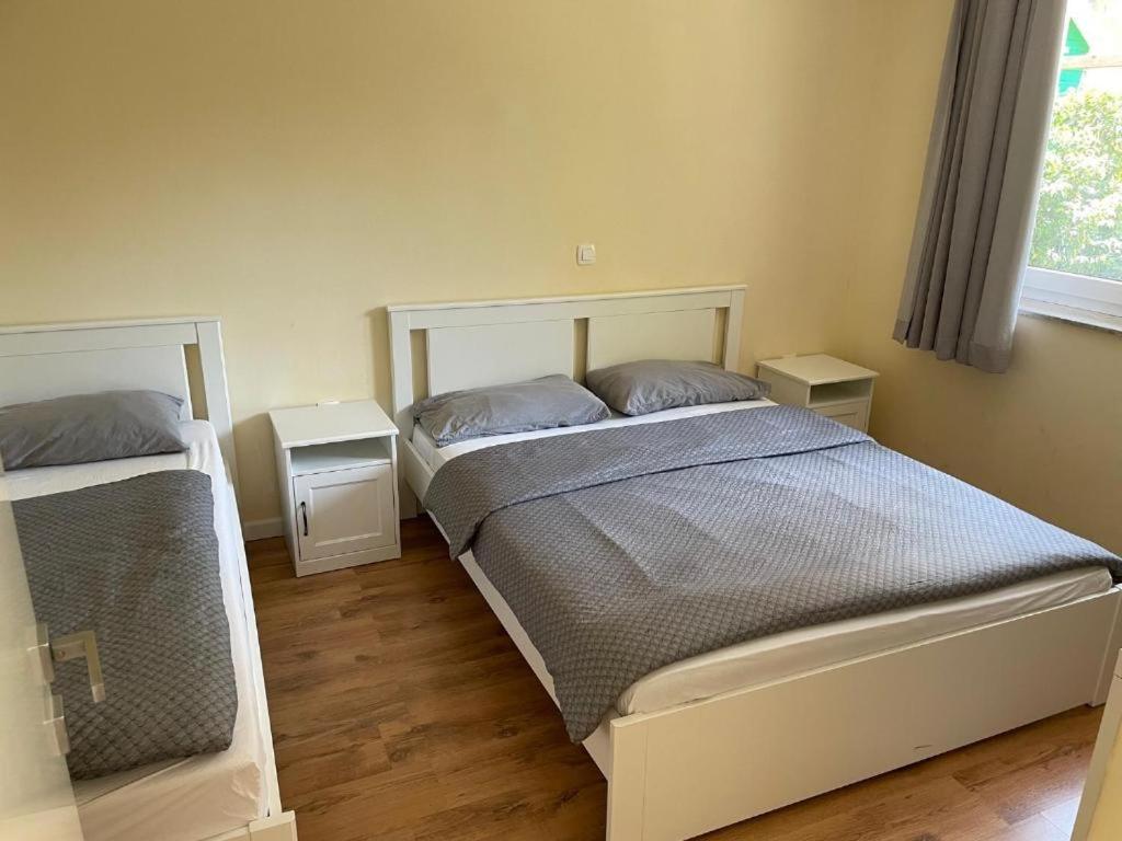 R41 - Tivoli Groundfloor Apartment Λιουμπλιάνα Εξωτερικό φωτογραφία